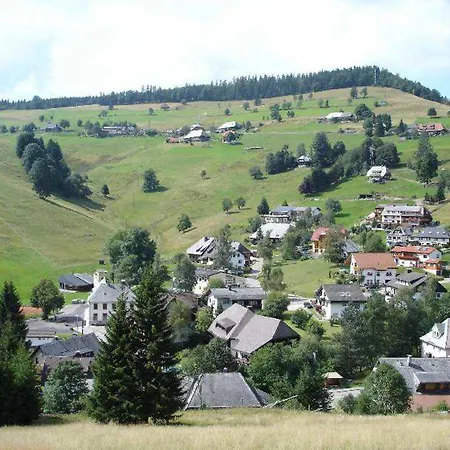 Haus Beer Apartament Todtnau